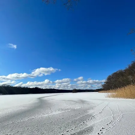 Nyaraló Refugium Im Wald